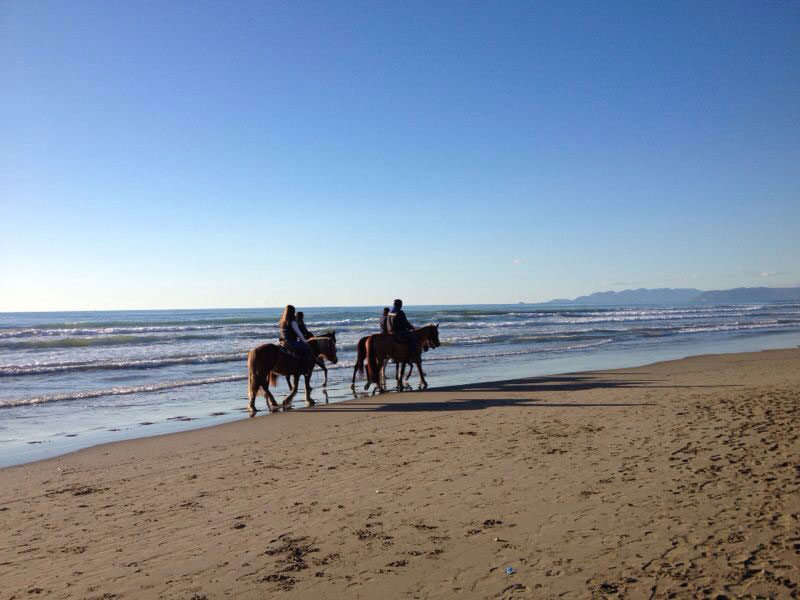 Forte dei Marmi - Equitazione sulla spiaggia
