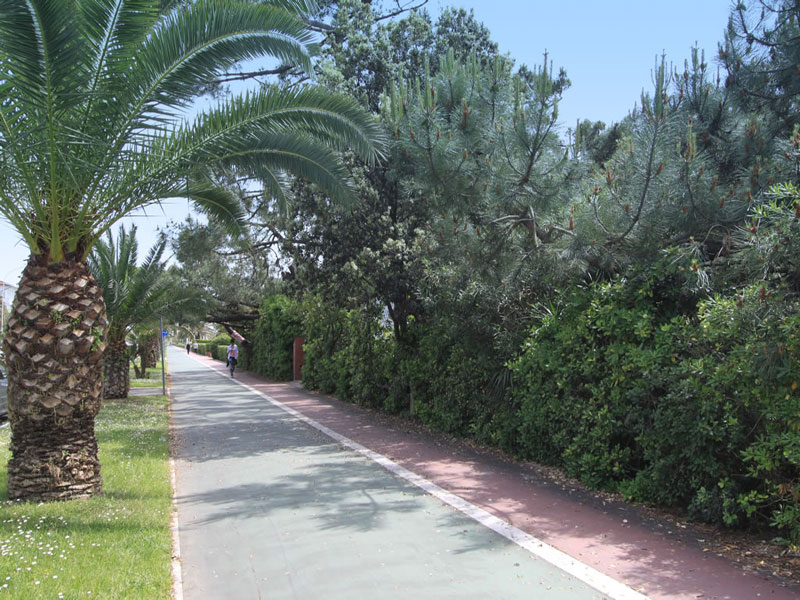 Forte dei Marmi - Pista ciclabile sul viale a mare