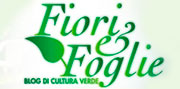 Fiori e Foglie