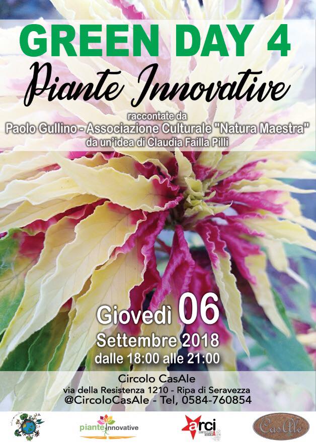 Green day 4 Piante Innovative