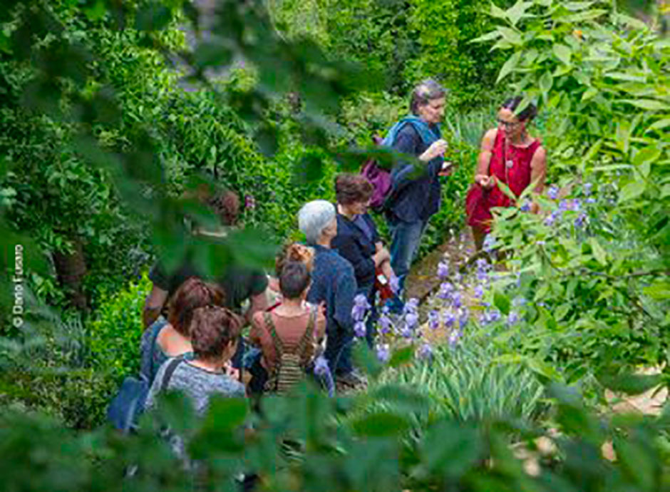Il giardino pigro