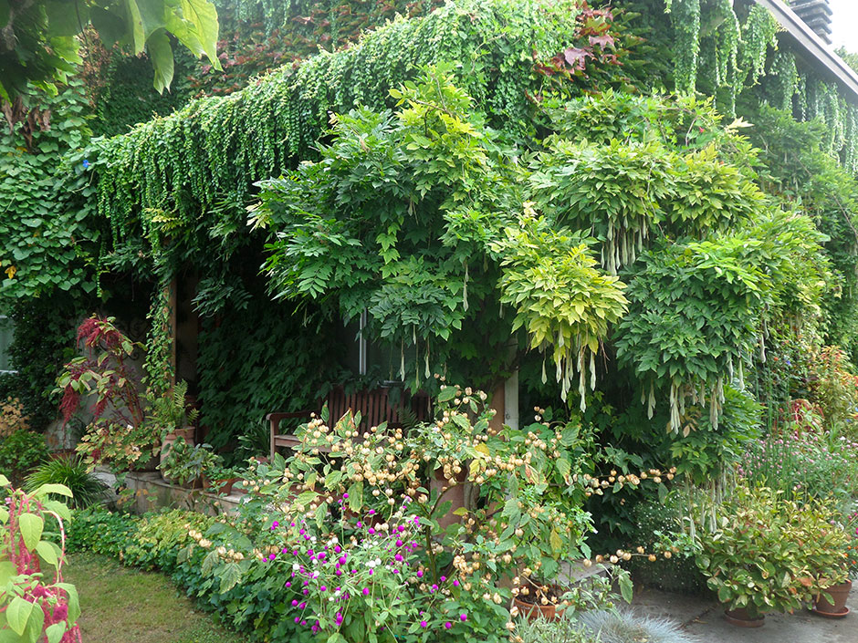 Il giardino pigro